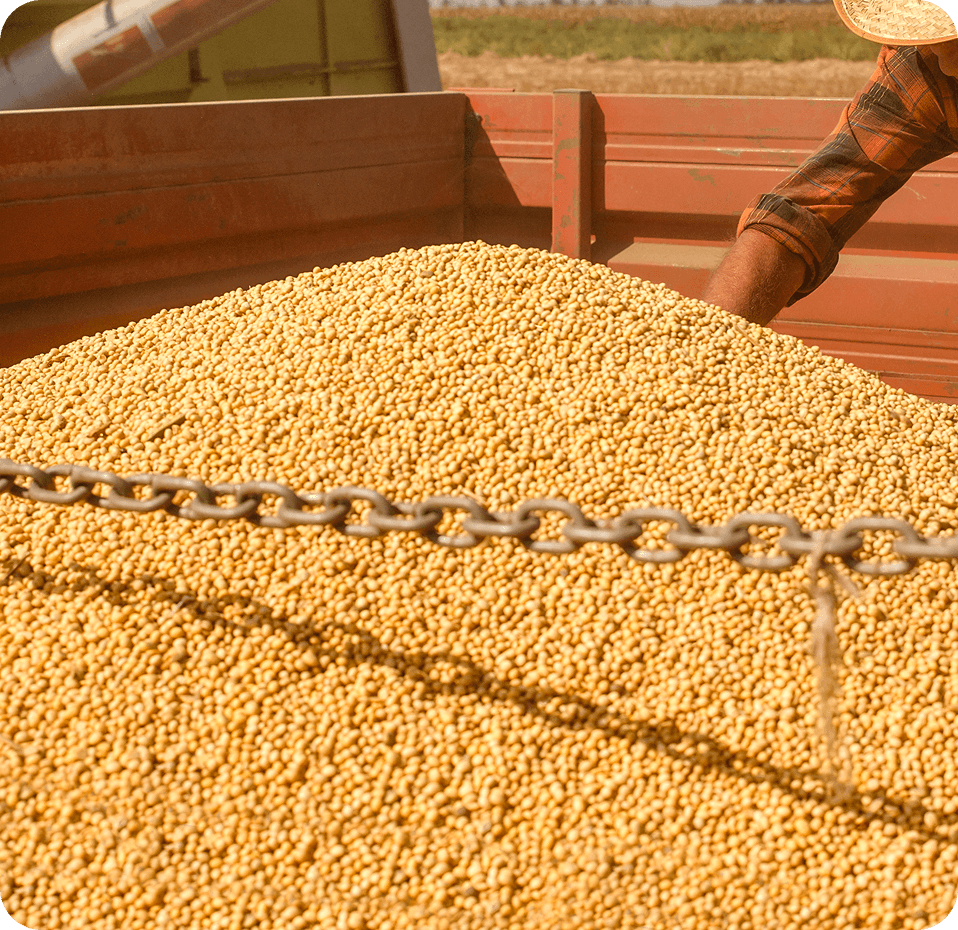 15+ Business Classifications (KBLI)