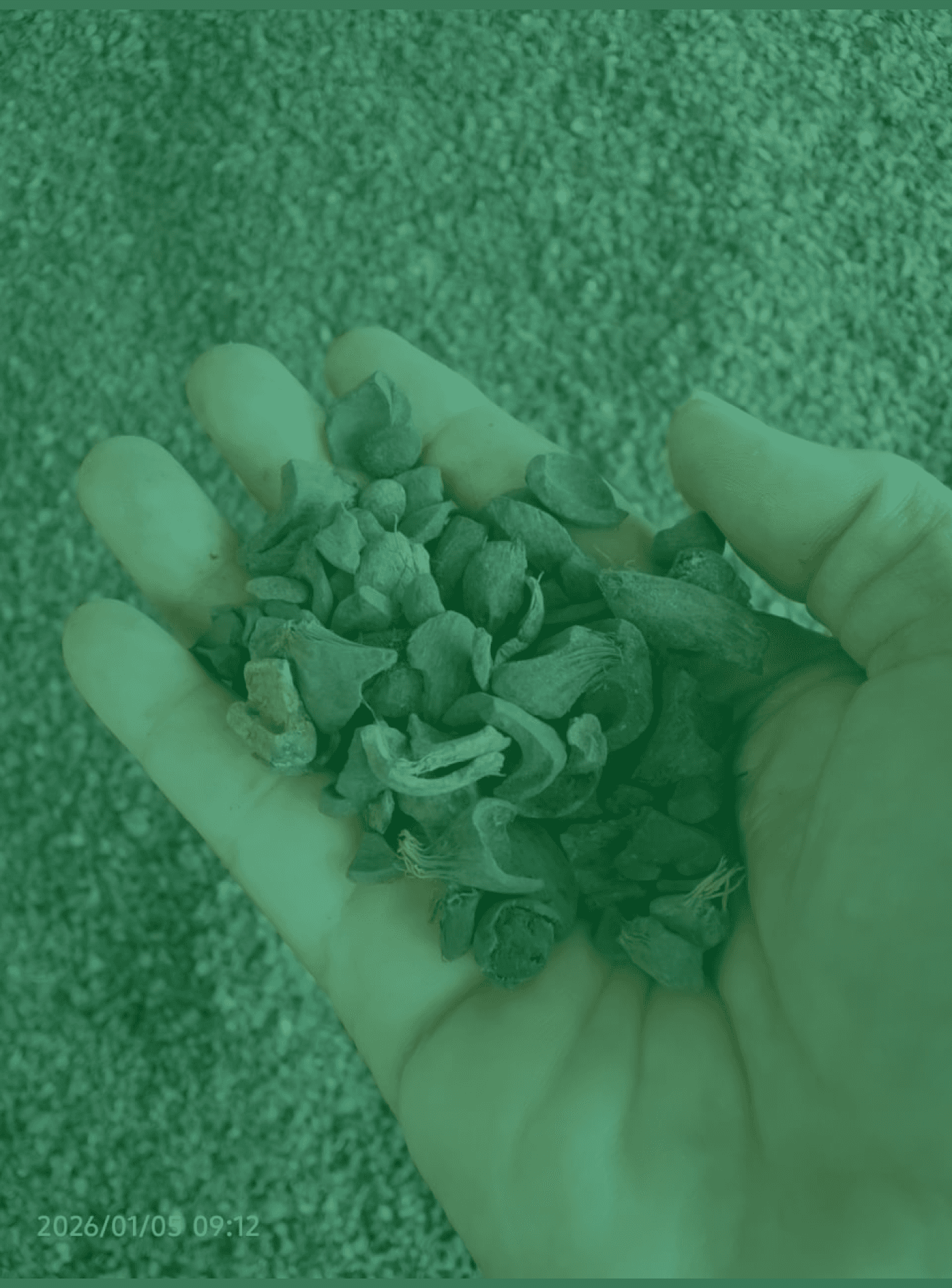 Energy & Alternative Feedstock